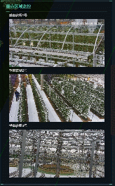 5.gif